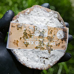 Saucisson aux oignons