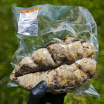 Saucisson Jésus de porc