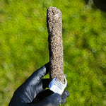 Saucisson sec au poivre