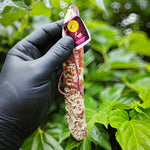 Saucisson sec aux figues