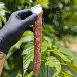 Saucisson sec au brie et à l'ail noir