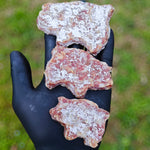 Les mini saucissons cochon