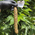 Saucisson sec chimichurri