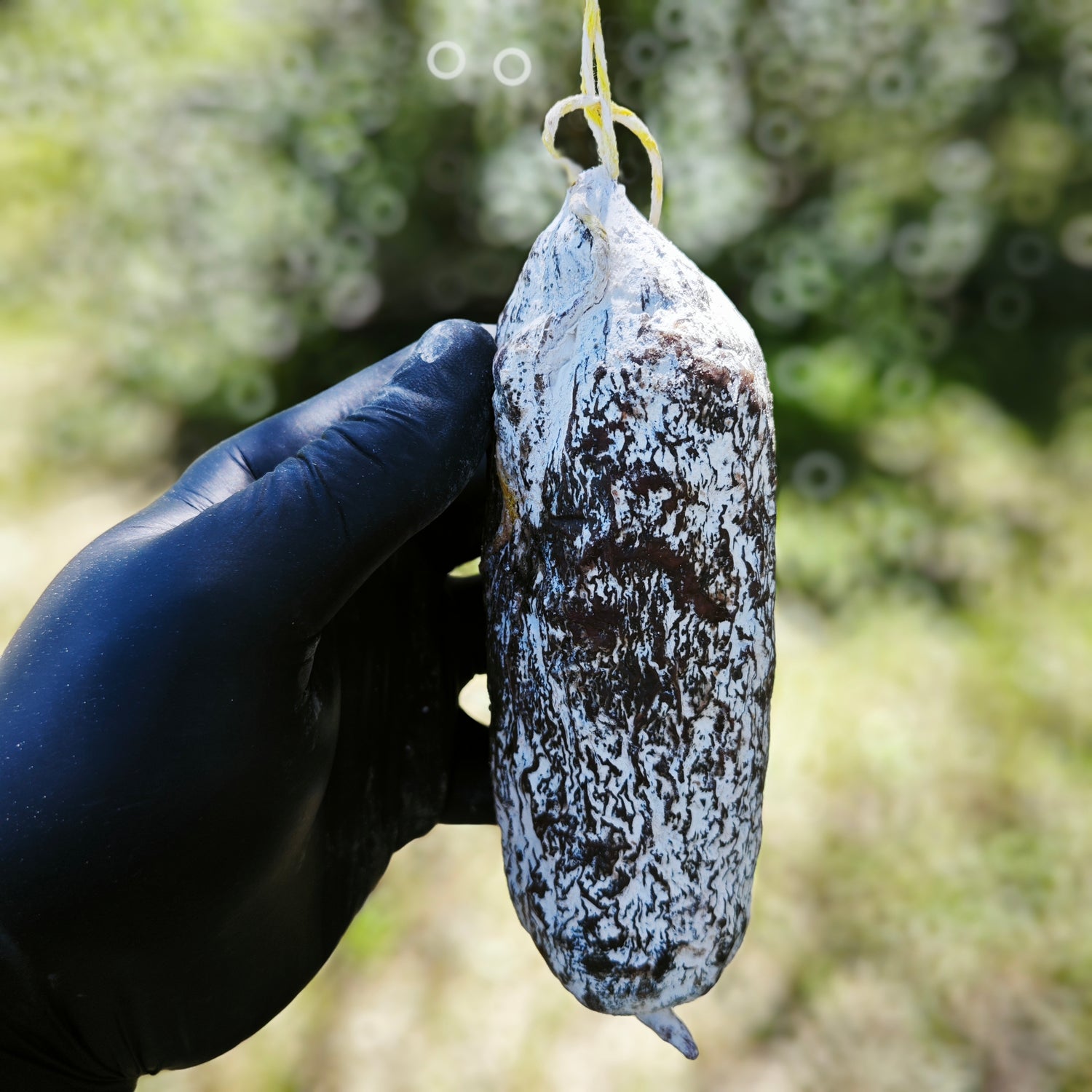 Saucisson sec de bœuf Angus sans nitrites