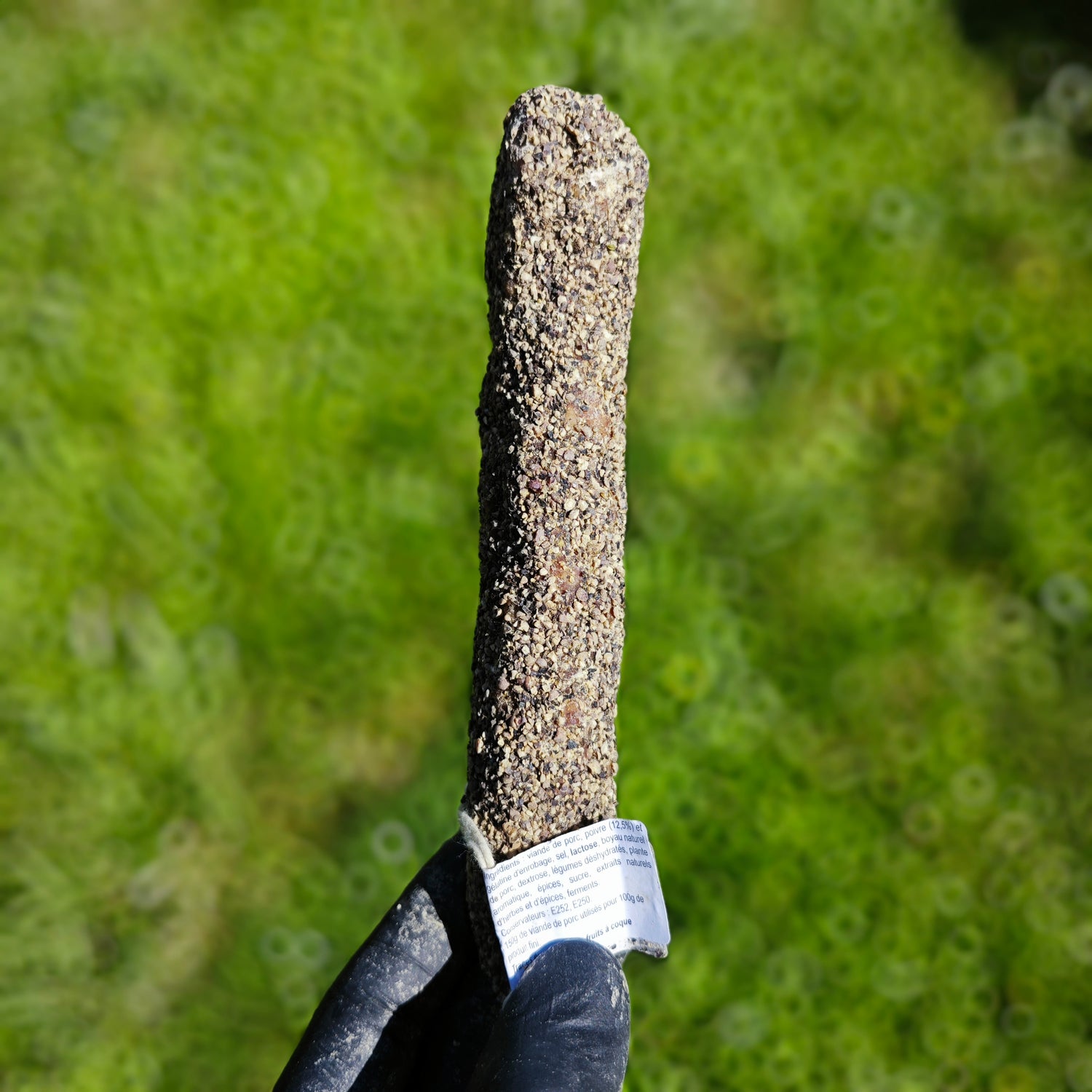Saucisson sec au poivre