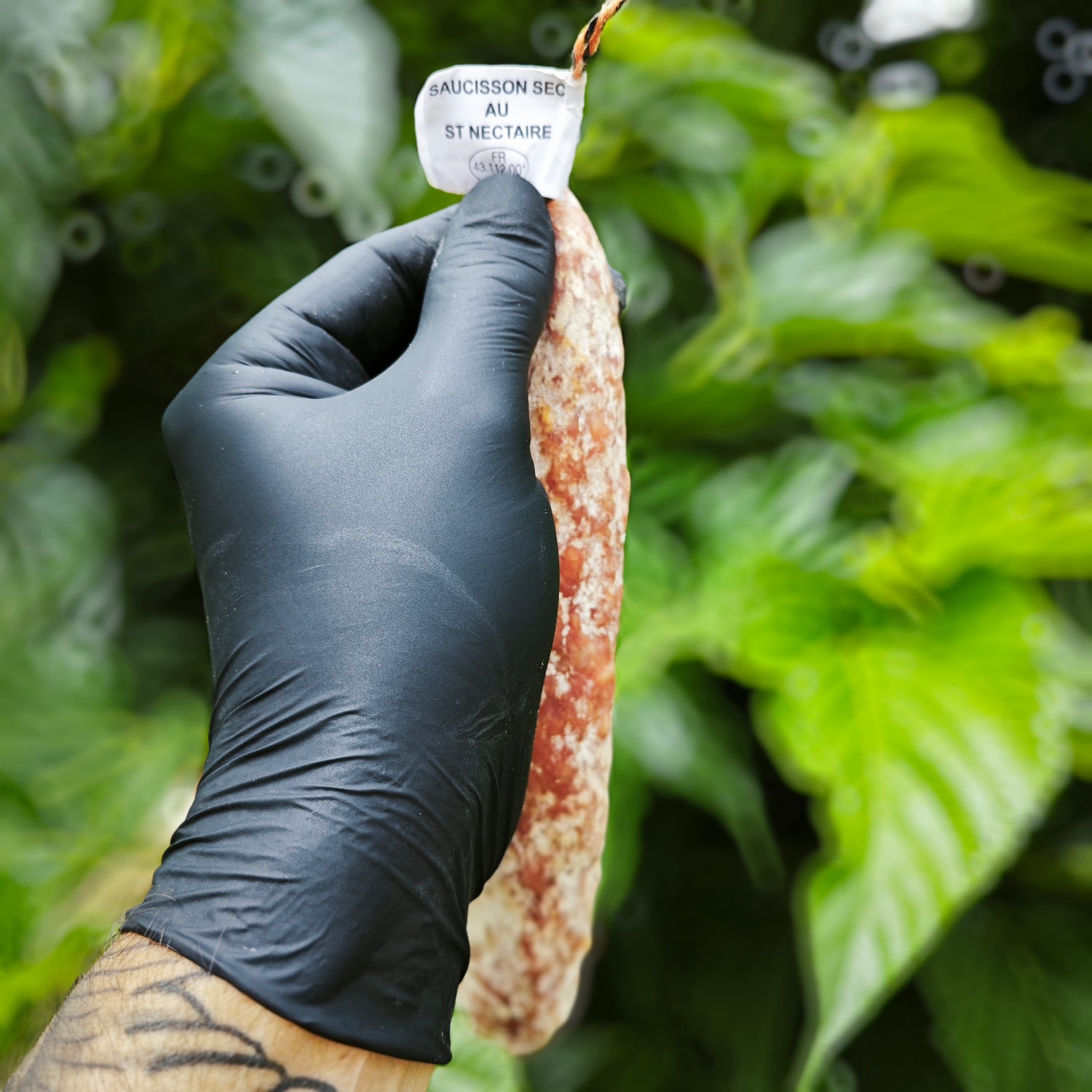 Saucisson sec au Saint-Nectaire