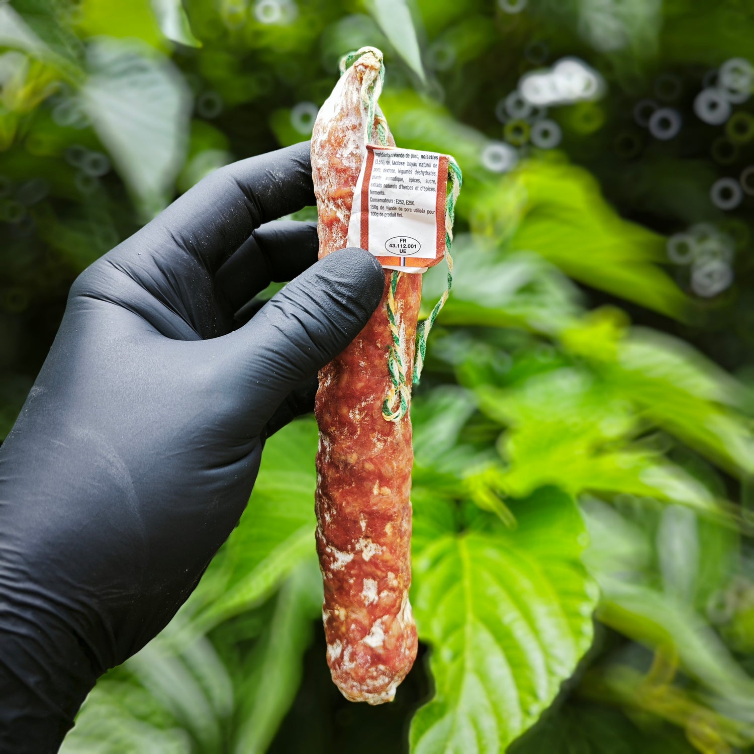 Saucisson sec aux noisettes