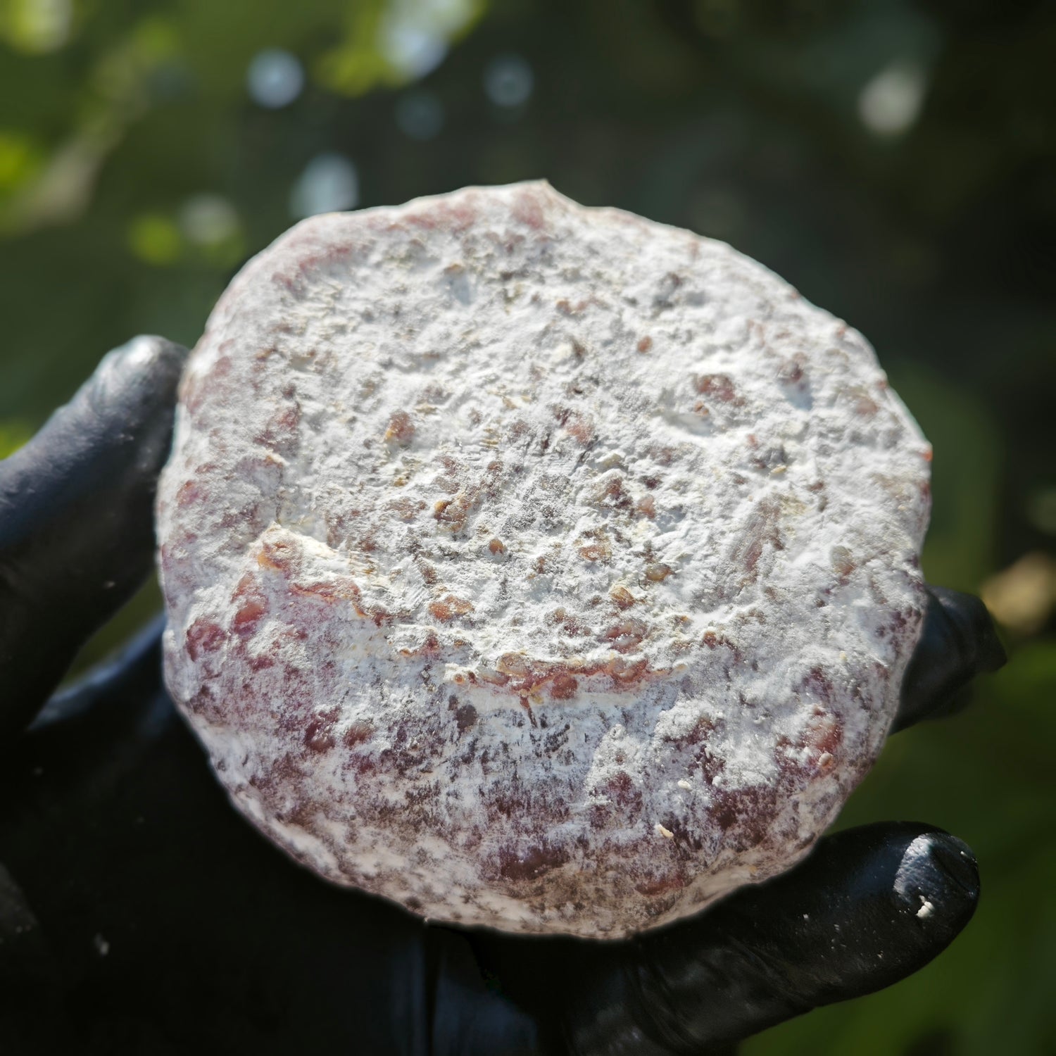 Saucisson de bœuf Angus nature