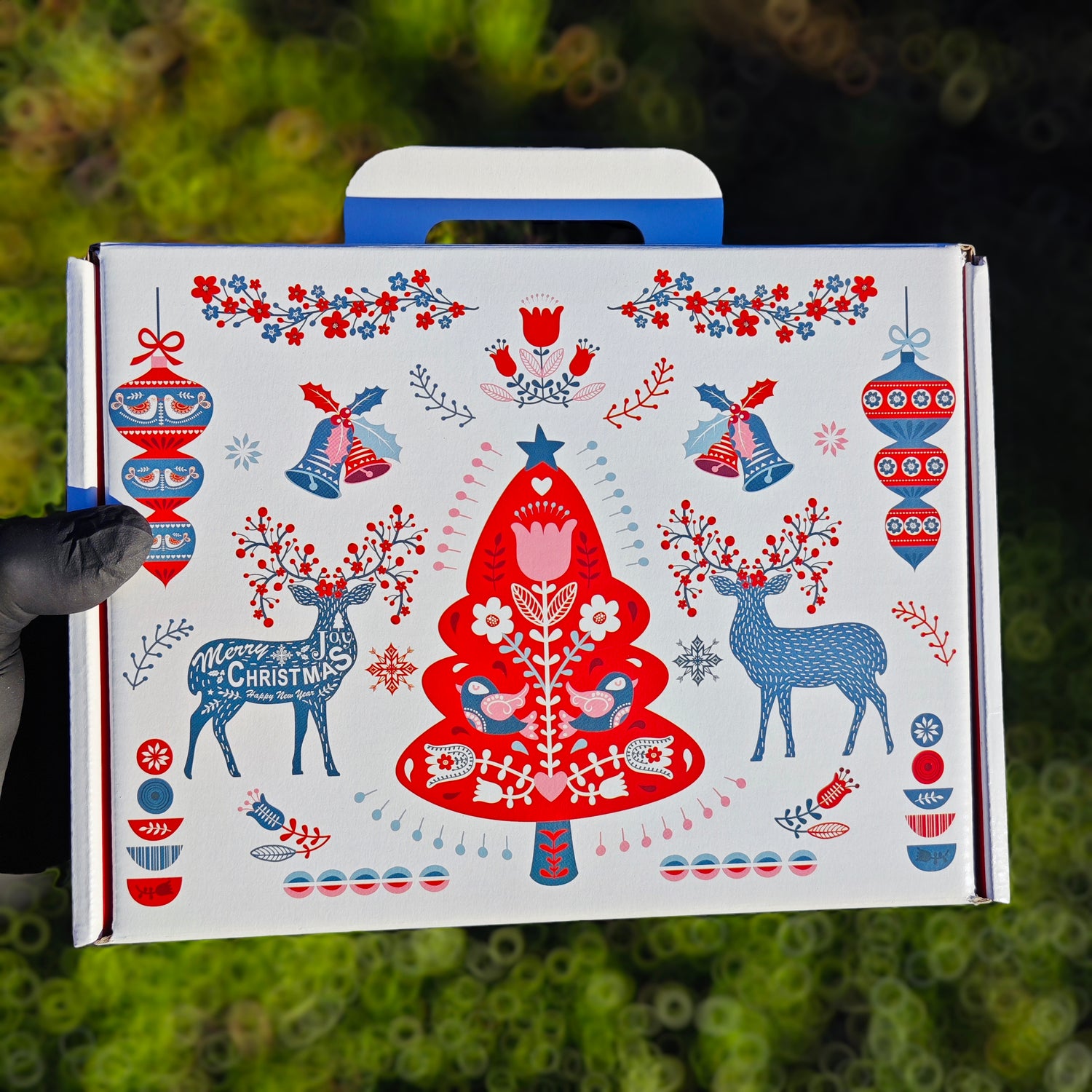 Box saucissons de Noël 🎄