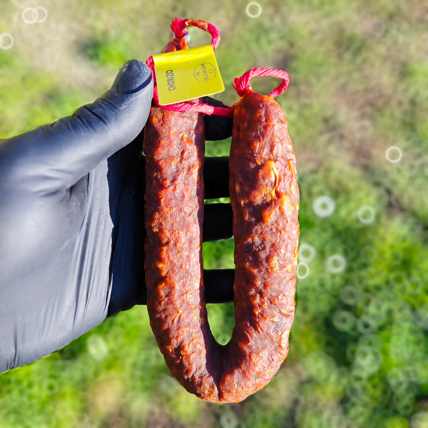 Chorizo