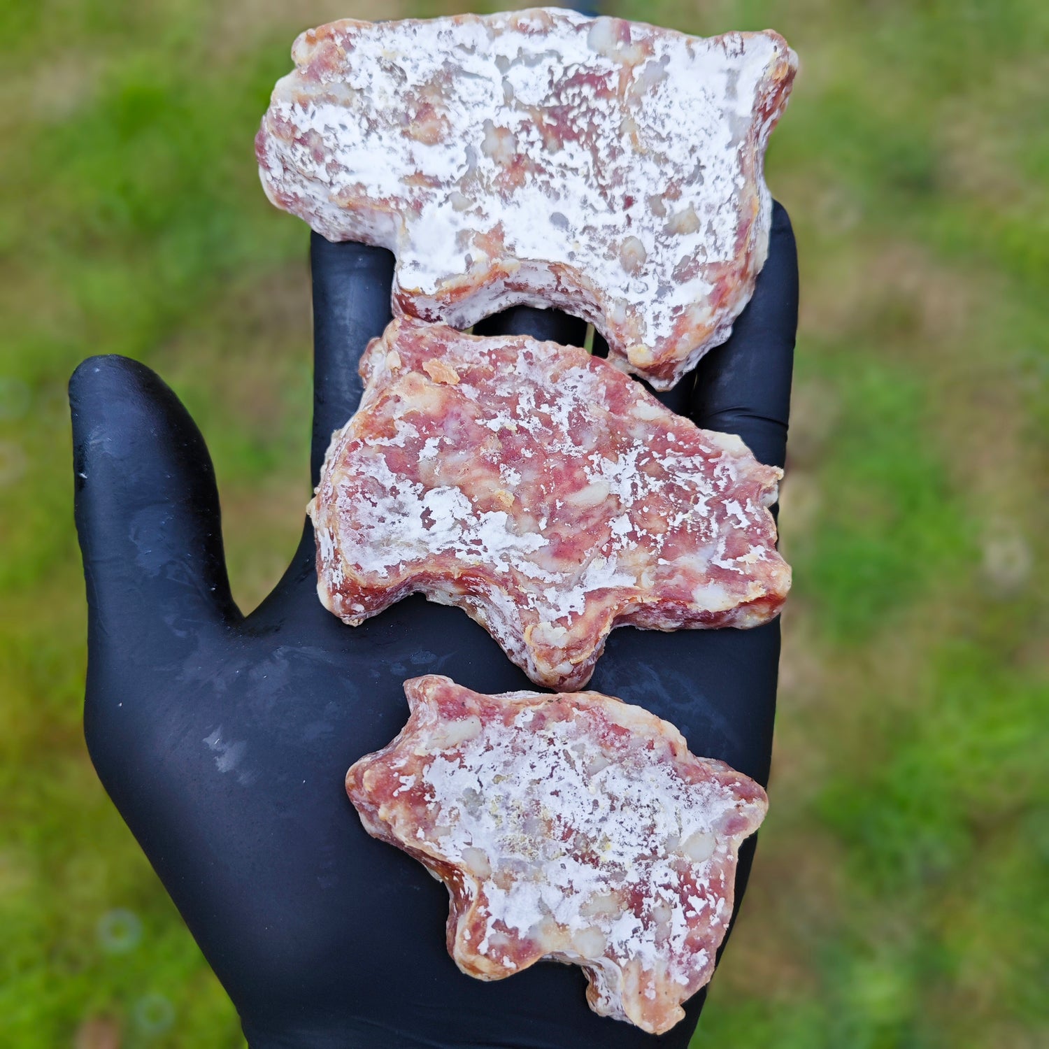 Les mini saucissons cochon